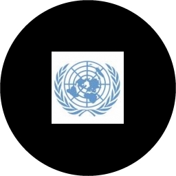 SGroup's Co-operation with the United Nations