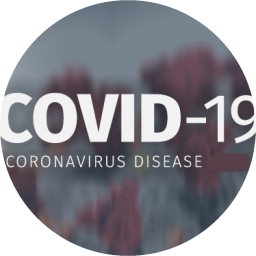 SGroup member information on the COVID-19 crisis